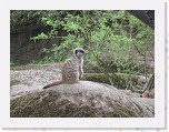 Dierentuin Burgers  Zoo 002 * 3648 x 2736 * (6.18MB)